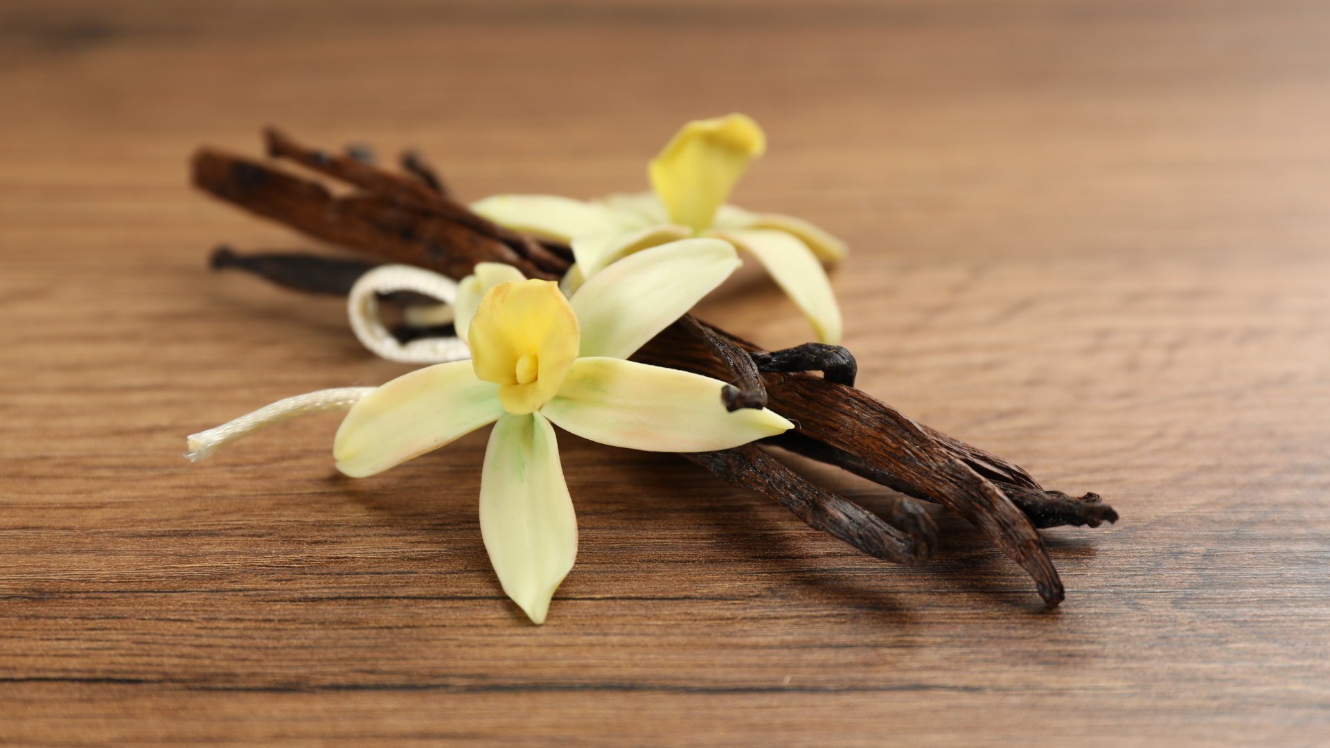 Comment bien conserver vos gousses de vanille ?