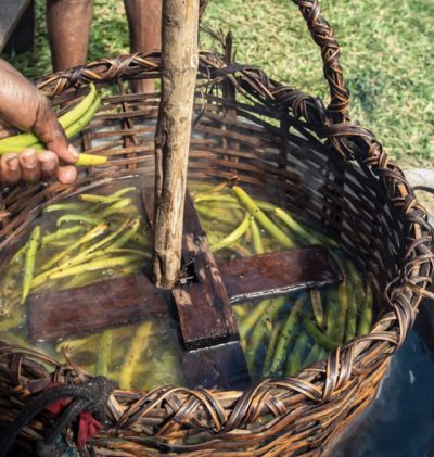 Préparation traditionnelle de la vanille Bourbon de Madagascar