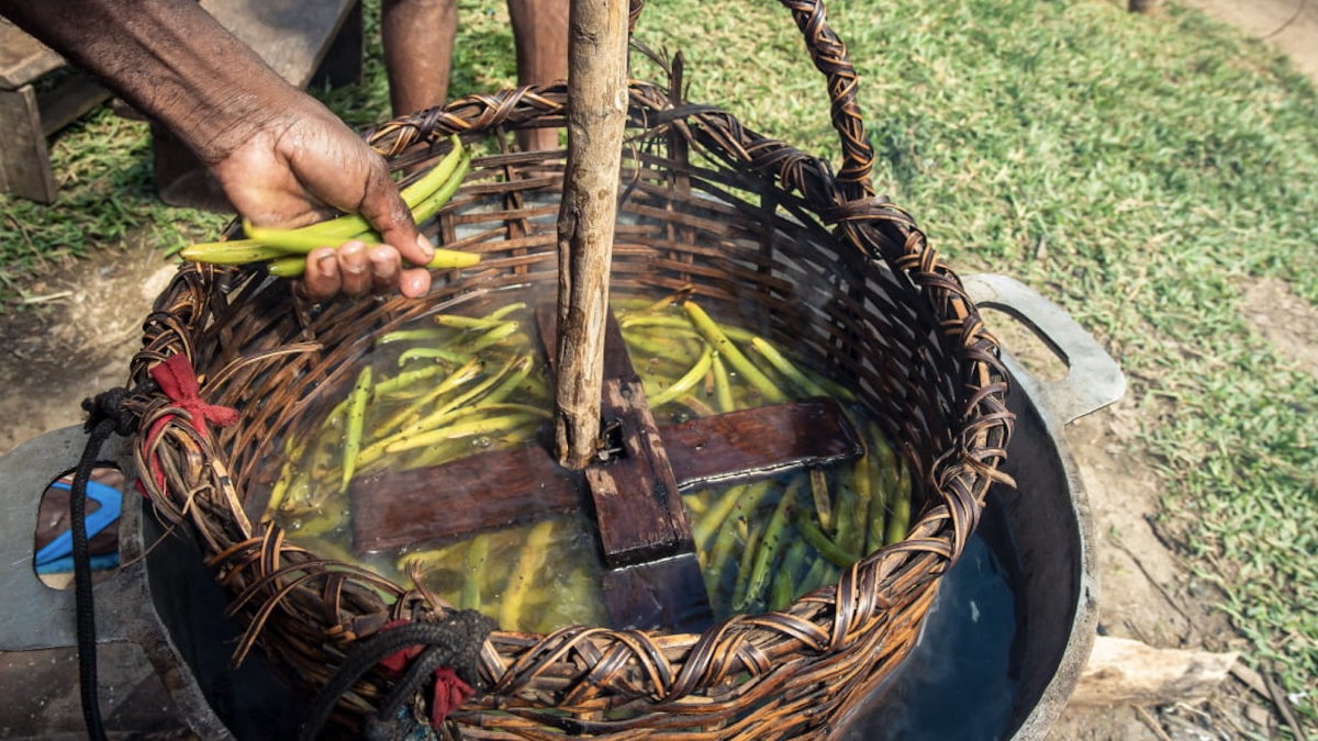 Préparation traditionnelle de la vanille Bourbon de Madagascar